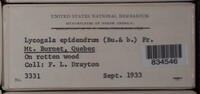 Image Associated With the Occurence